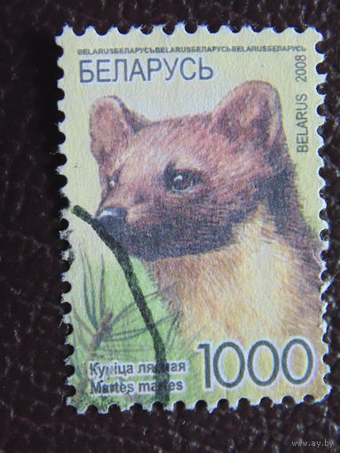 Беларусь 2008 г.