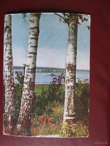 Почтовая карточка.СССР.Л.Бородулина.1962г.Чистая.
