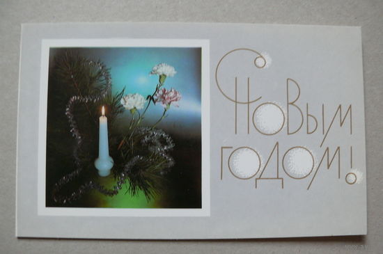 Зеленова В., С Новым годом! 1989, двойная, чистая.