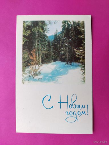 С новым годом! Чистая. 1968 года. Фото Истомина. 2625.