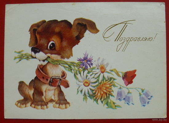 Поздравляю! Подписанная. 1983 года. Четвериков. 823.