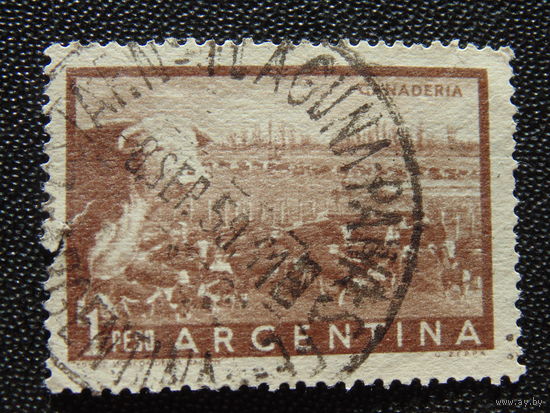 Аргентина. Каровы.