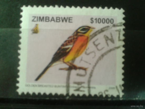Зимбабве, 2005. Золотистогрудая овсянка