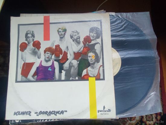 ВИНИЛОВАЯ ПЛАСТИНКА- ПОЛЬША