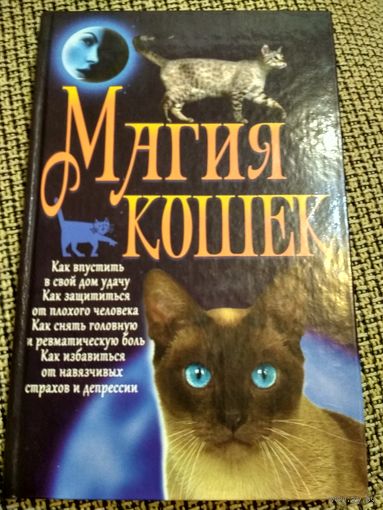 Магия  кошек