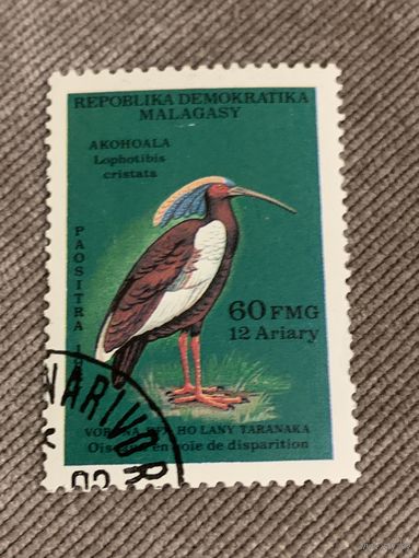 Мадагаскар 1990. Птицы. Lophotibis cristata. Марка из серии