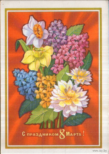 Подписанная открытка 1974г. "8 Марта. Гиацинты" худ. Н. Колесников