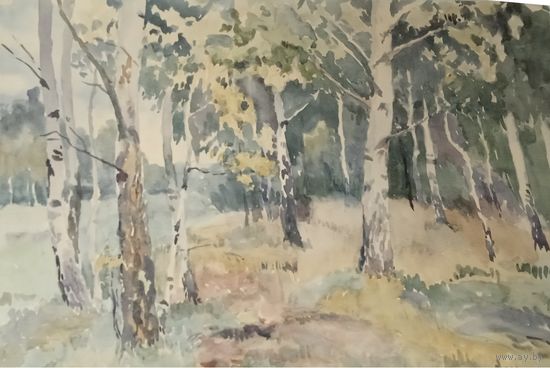 Картина акварель бумага березы пейзаж 1960 СССР