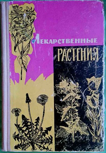Лекарственные растения