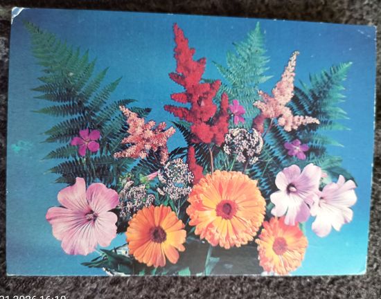 Композиция из цветов.