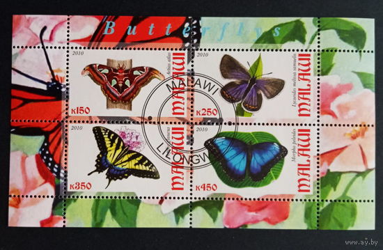 ЛИСТ ЖУКИ БАБОЧКИ НАСЕКОМЫЕ  СТО