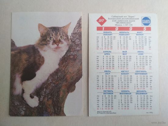 Карманный календарик.Кошки.1995 год