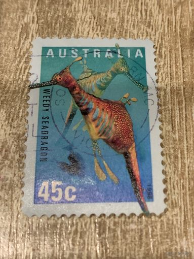 Австралия 1998. Weedy sea dragon. Марка из серии