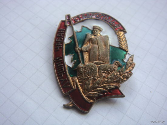 Лучший чабан Ставрополья