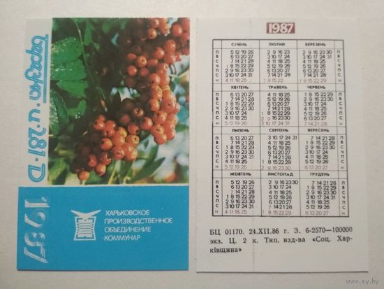 Карманный календарик. Телевизор Берёзка .1987 год