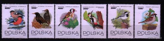 1993 Польша фауна Птицы Региона Mi 3458-63 6х-марок**