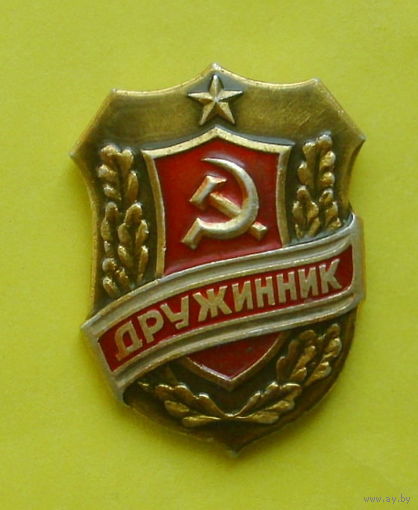 Дружинник. Я-76.