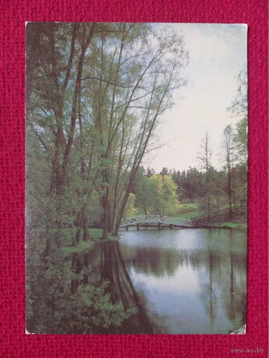 Пушкинский заповедник. Пейзаж. Листопадов 1986 г. Чистая. К-1