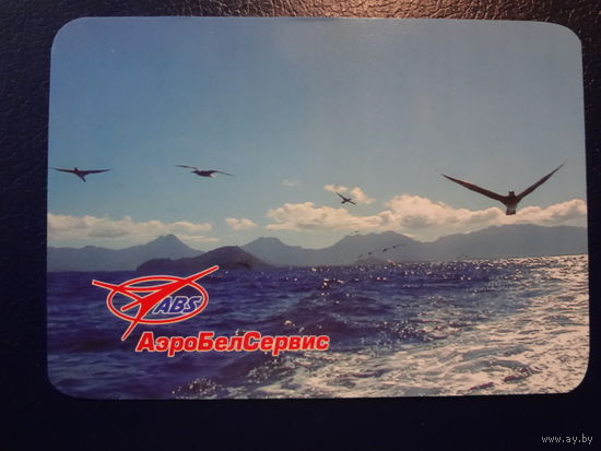 Календарик 2009 г.  АэроБелСервис.  Чайки.