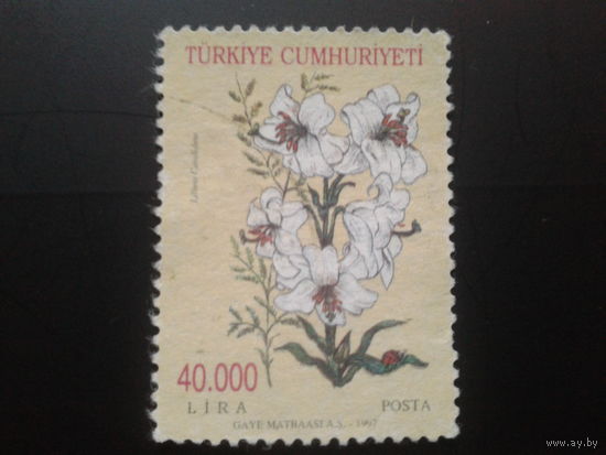 Турция 1997 цветы