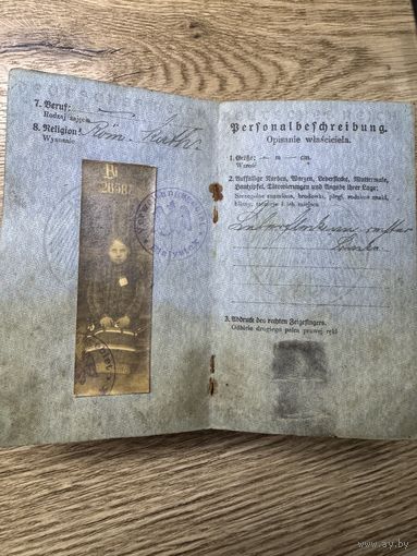 Паспорт 1917г.