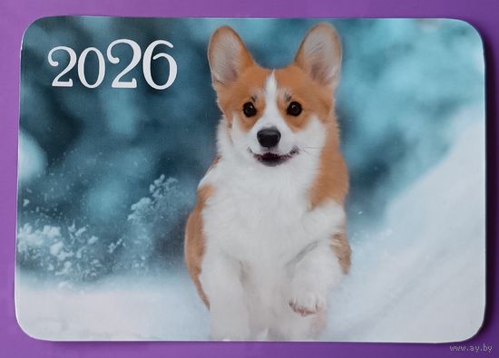 Собака. Календарик, глянец, 2026.ТРАСКО
