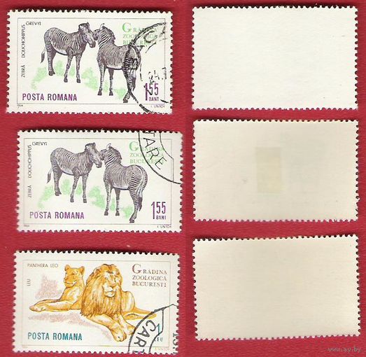 Румыния 1964 Зоопарк Бухареста