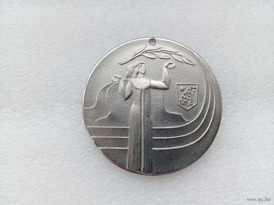 Медаль (тяжёлая)