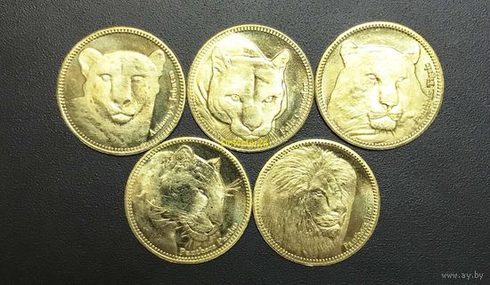 Сомалиленд - набор 5 монет - 5 шиллингов 2016 - "Кошки" UNC