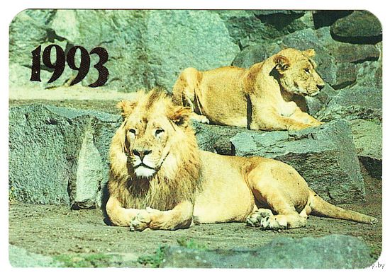 Календарик РИА Юго-Запад 1993