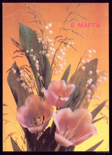 1989 год И.Дергилёв 8 марта чист