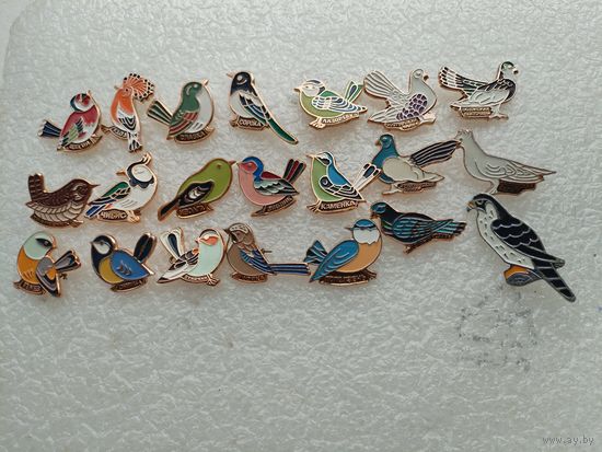 Набор значков 21 шт. Птицы