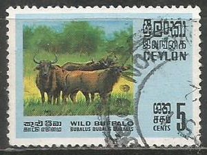 Цейлон. Азиатские буйволы. 1970г. Mi#395.