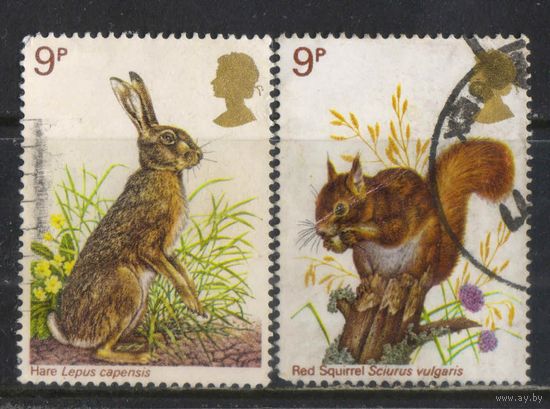 Великобритания 1977 EII Дикая природа Капский заяц Красная белка #746-7