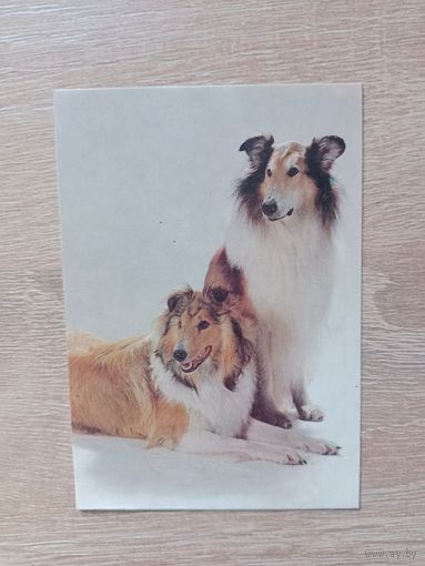 Календарик 1992