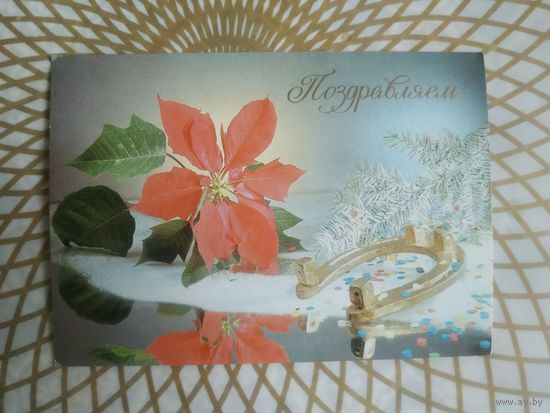 Открытка СССР 1989 год.   Чистая. Д.Киндрова. Состояние на скане.