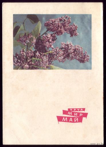 1966 год Г.Костенко Труд Мир Май чист