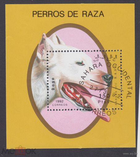 Сахара 1992 год. Германский дог Охотничьи собаки.