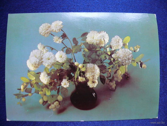 Фото Савалова Е., Букет, 1985, чистая.