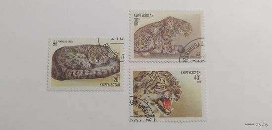 Кыргызстан 1994. Снежный барс