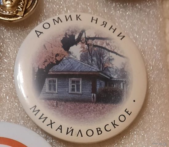 Очень большой значок  "Домик няни Михайловское"