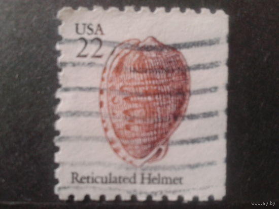 США 1985 стандарт, ракушка