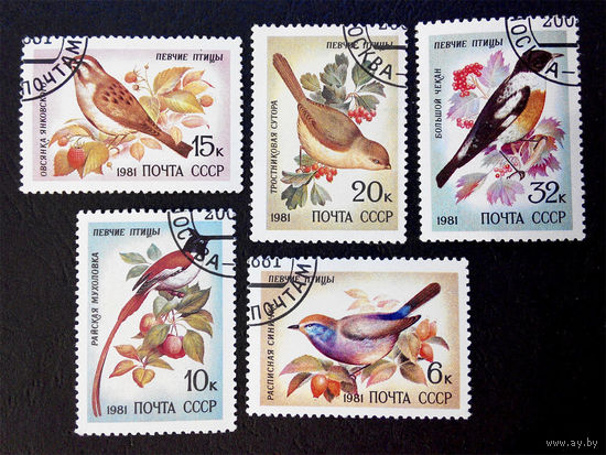 СССР 1981 г. Певчие птицы. Фауна, полная серия из 5 марок #0021-Ф2P4