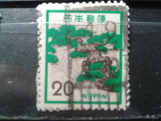 Япония, 1972. Стандарт. Горная сосна