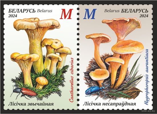 2024г Беларусь MNH  СЦЕПКА "Грибы-двойники"