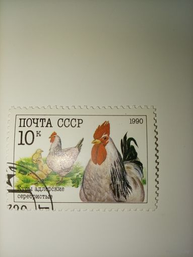 СССР 1990г. Куры адлерские серебристые.