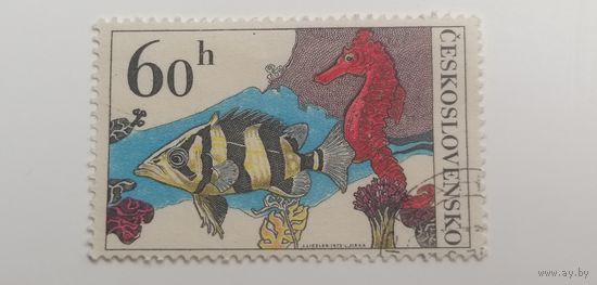 Чехословакия 1975. Аквариумные рыбки.