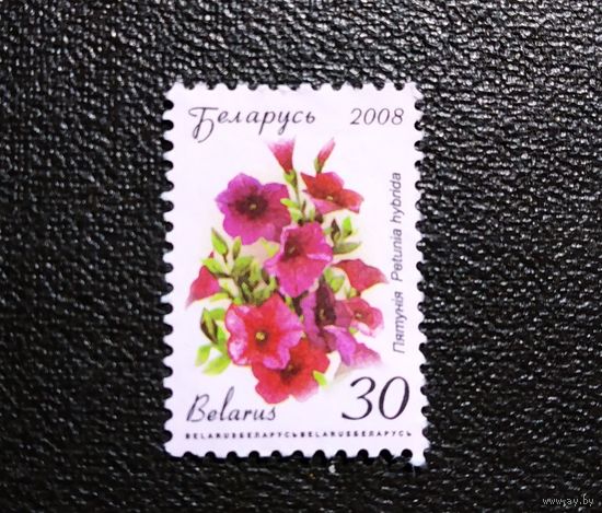 Марка Беларусь 2008 год Цветы