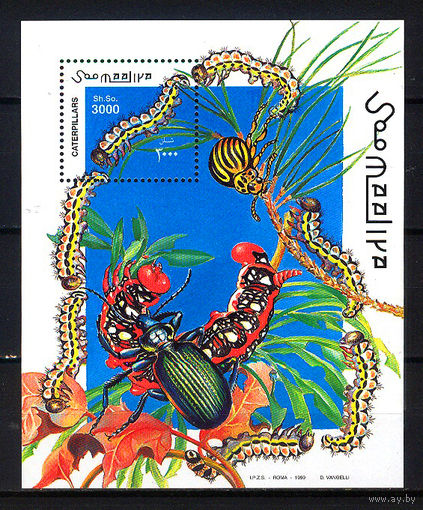 1999 Сомали. Гусеницы