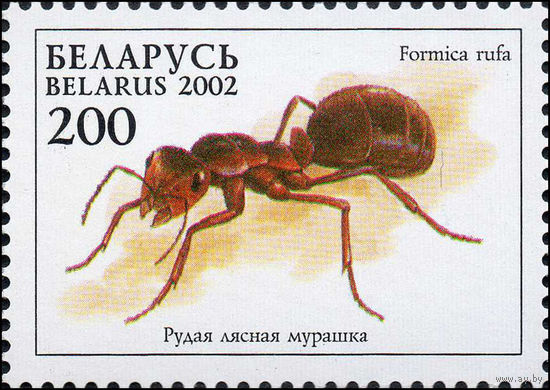 Рыжий лесной муравей Беларусь 2002 год (461) серия из 1 марки